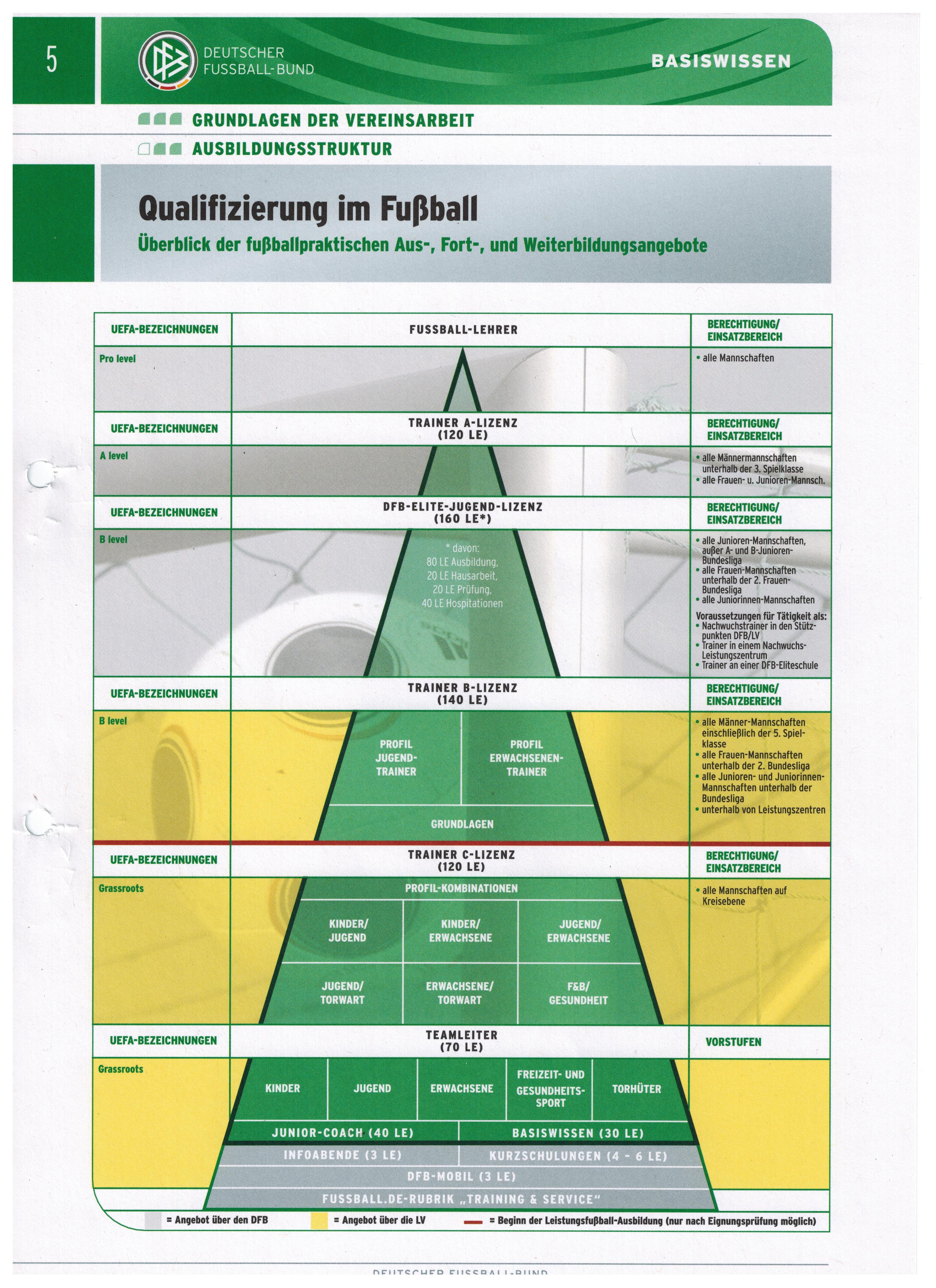 схема обучения на тренера в Германии представляет собой следующую пирамиду
